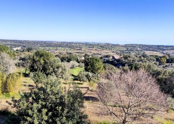 IMG20240131094913.jpg - Appartamento via Rio  4, Canicattini Bagni - foto 14