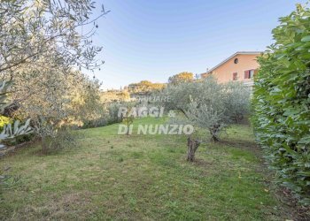 0005.jpg - Villa Via di Grotte Maria 1, Frascati - foto 5