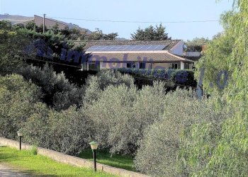 Terreno - Villa contrada Marmora, Castellammare del Golfo - foto 8