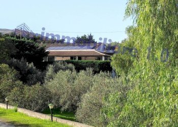 Terreno - Villa contrada Marmora, Castellammare del Golfo - foto 9