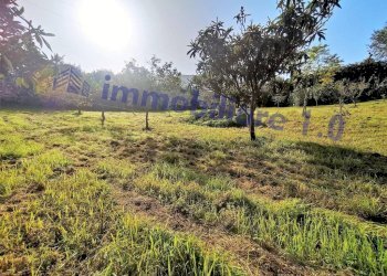 Terreno - Villa contrada Marmora, Castellammare del Golfo - foto 10