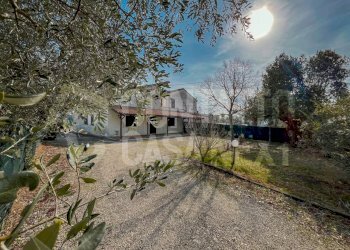 DD26C44A-E3E9-4C0B-B107-A0BE5A2CAEFC.jpeg - Quadrilocale Jesi - foto 2