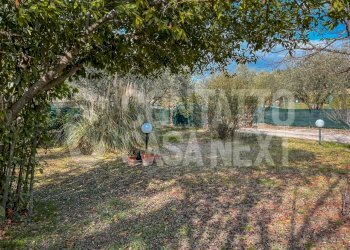 E2EF856B-1D03-4CF9-8DEB-63EDA4C10DDA.jpeg - Quadrilocale Jesi - foto 3