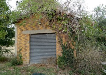 annesso-garage - Villa Senigallia - foto 5