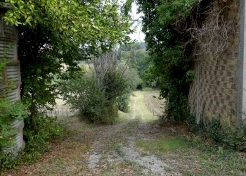 corte - Villa Senigallia - foto 7