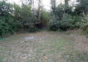 corte - Villa Senigallia - foto 8