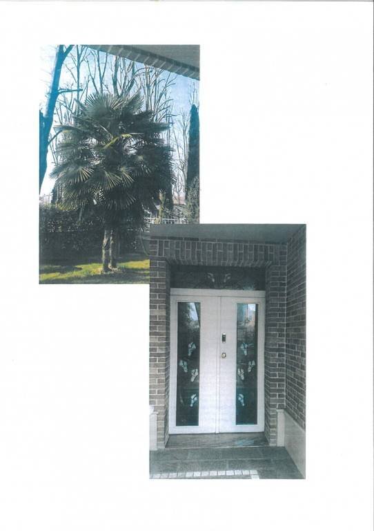 mx 2630n 20240125 201315 0001 - Villa via Mazzone, Mirandola - foto 1