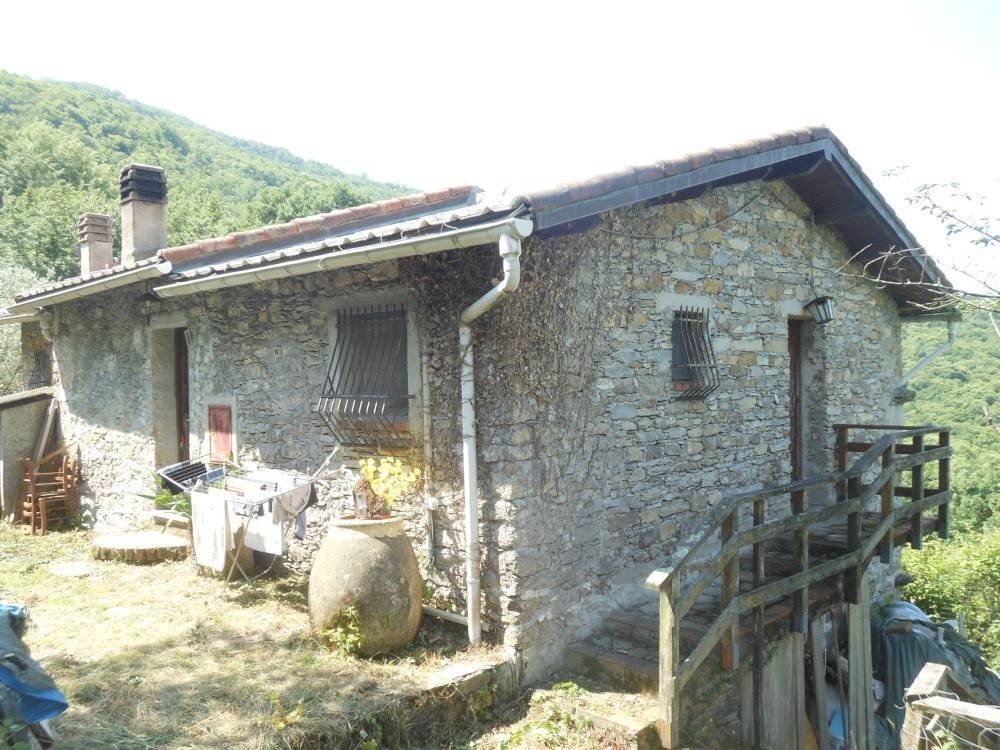 Facciata - Casa indipendente all'asta via Steneri, Avegno - foto 1