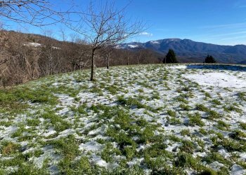 Esterni - Terratetto - Terracielo via Casareggio, Varese Ligure - foto 18