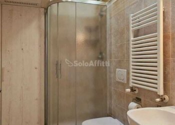 Bagno con box doccia - Appartamento Via Alcide De Gasperi s.n.c., Forlimpopoli - foto 11
