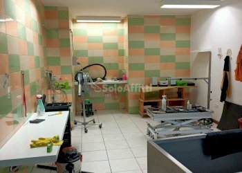 IMG20240124154505.jpg - Locale Commerciale Falconara Marittima - foto 2