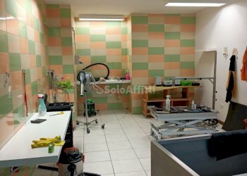 IMG20240124154507.jpg - Locale Commerciale Falconara Marittima - foto 3