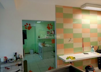 IMG20240124154538.jpg - Locale Commerciale Falconara Marittima - foto 4