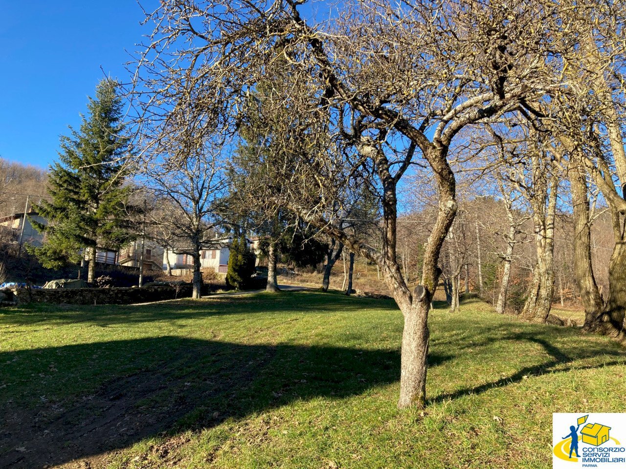 PRIMA.jpg - Quadrilocale Monchio delle Corti - foto 1