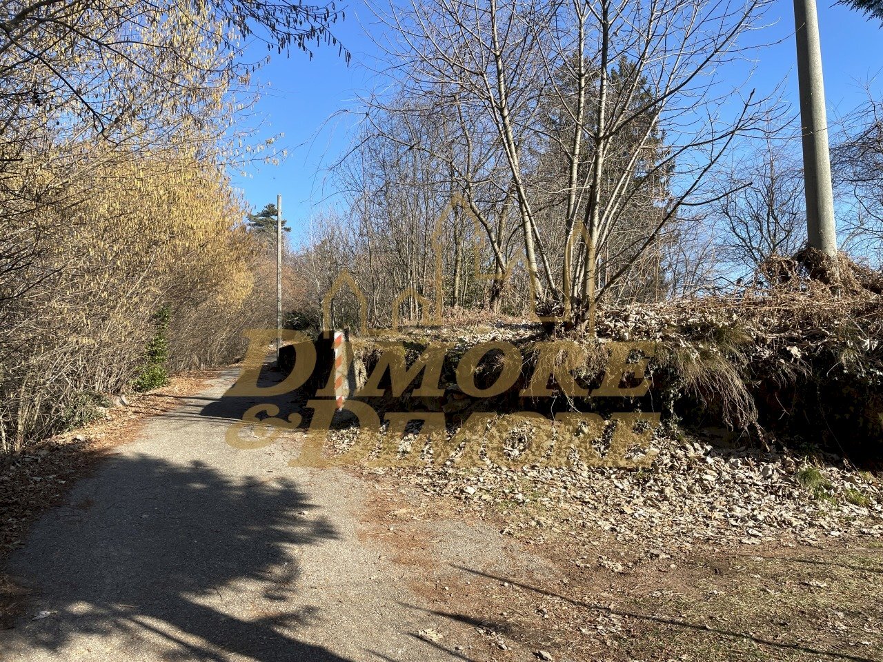 14 IMG_1271.JPG - Terreno edificabile via per fosseno, Colazza - foto 3