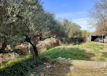 WhatsApp Image 2024-02-08 at 17.07.35.jpeg - Villa Via di Tivoli, Roma - photo 4