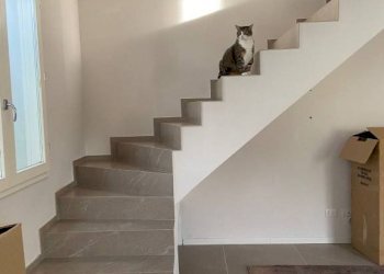 Villa via del Pretorio, Sassuolo - foto 4