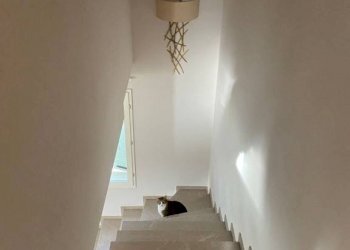 Villa via del Pretorio, Sassuolo - foto 5