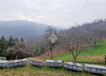 Casa indipendente Via Fasella, San Raffaele Cimena - foto 19