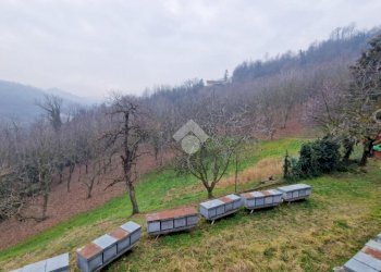 Casa indipendente Via Fasella, San Raffaele Cimena - foto 20