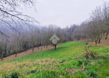 Casa indipendente Via Fasella, San Raffaele Cimena - foto 28