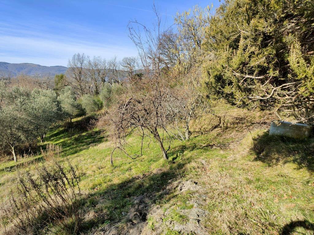 Terreno - Rustico Genova (zona Pontedecimo) - foto 1