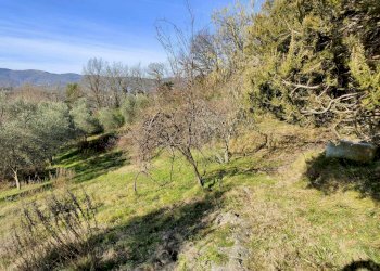 Terreno - Rustico Genova (zona Pontedecimo) - foto 1