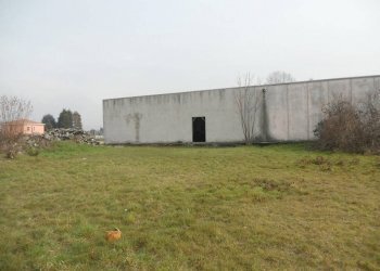 . - Capannone via Corno, 2, Cairate - foto 8