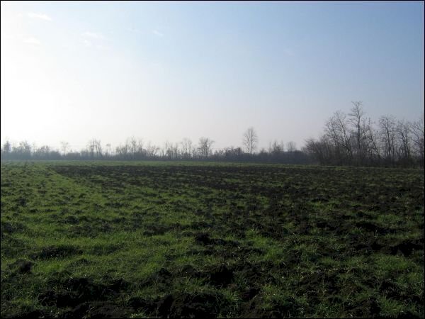 terreno - Rustic via bianchi 16, Noceto - photo 1