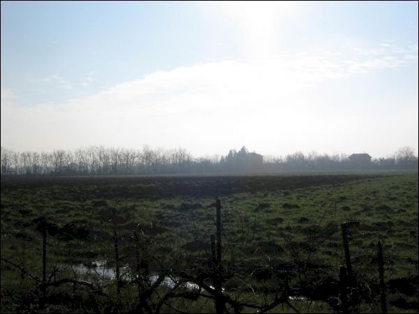 terreno - Rustic via bianchi 16, Noceto - photo 2