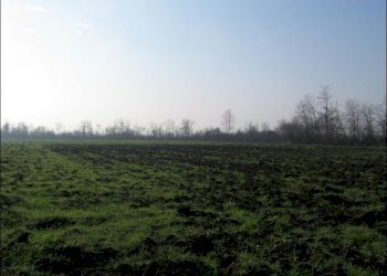 terreno - Rustico via bianchi 16, Noceto - foto 1