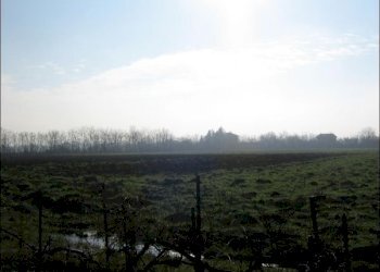 terreno - Rustico via bianchi 16, Noceto - foto 2