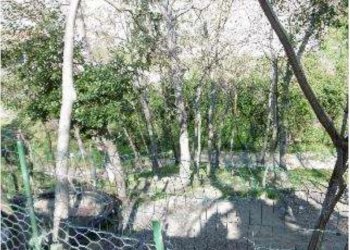 fff.png - Four-room apartment Civitella di Romagna - photo 6