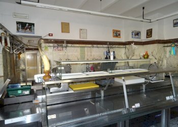 interno - Locale Commerciale Falconara Marittima - foto 2