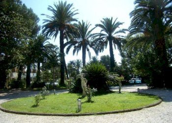 Giardino - Negozio corso Felice Cavallotti, 84, Sanremo - foto 4