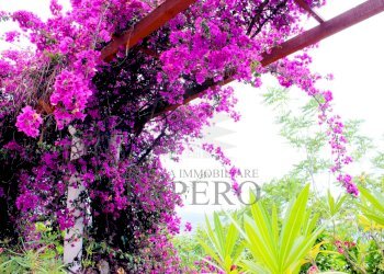 giardino - Villa Corso Montecarlo 1, Ventimiglia - foto 26