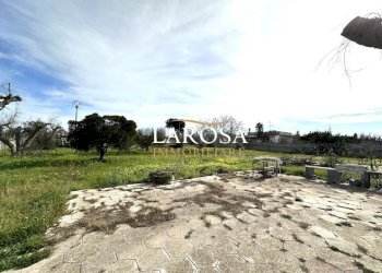 29.jpg - Villa Melendugno - foto 29