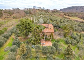 Rustico Case sparse, Trequanda - foto 5