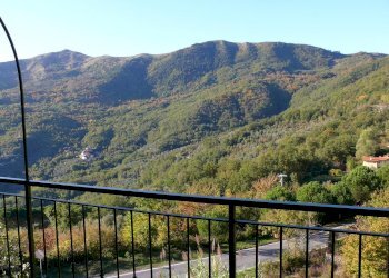 Quadrilocale Testico - foto 16