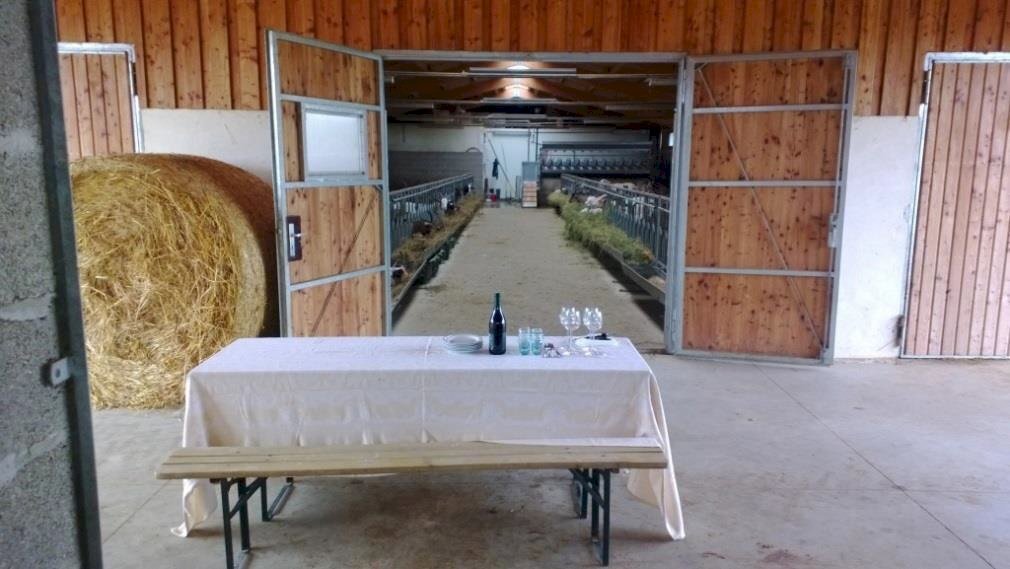 Terreno agricolo Alessandria - foto 1