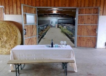 Terreno agricolo Alessandria - foto 1