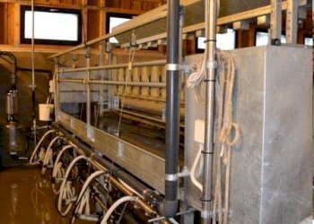 Terreno agricolo Alessandria - foto 4