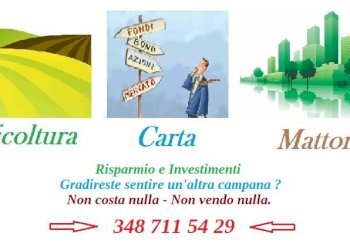 Terreno agricolo Alessandria - foto 7