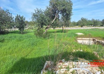 Villa CONTRADA SAN GIOVANNI LO PIRATO, Scicli - photo 16