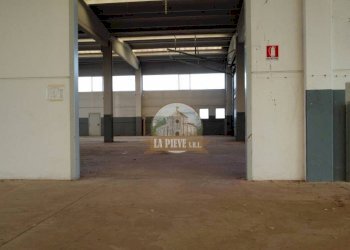 Capannone via Trino, Vercelli - foto 9
