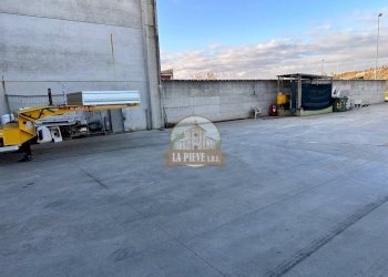 Zona - Shed Alessandria - photo 8