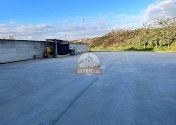 Zona - Shed Alessandria - photo 9