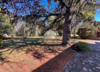Giardino - Rustico Tortona - foto 23
