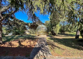 Giardino - Rustico Tortona - foto 37