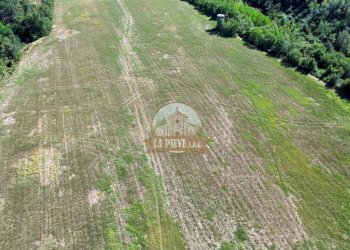 Terreno - Rustico Tortona - foto 43
